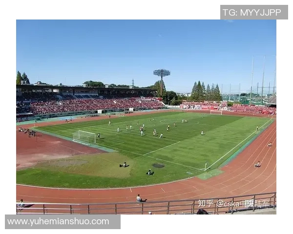 绿茵逐梦传奇从球场荣耀到自传影视的真实人生